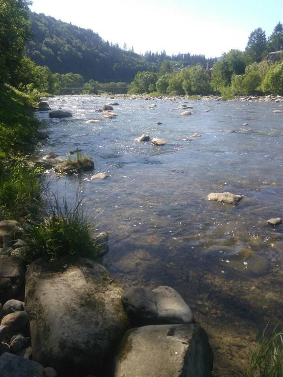 Загородные дома Yablunevyi Tsvit Яремче